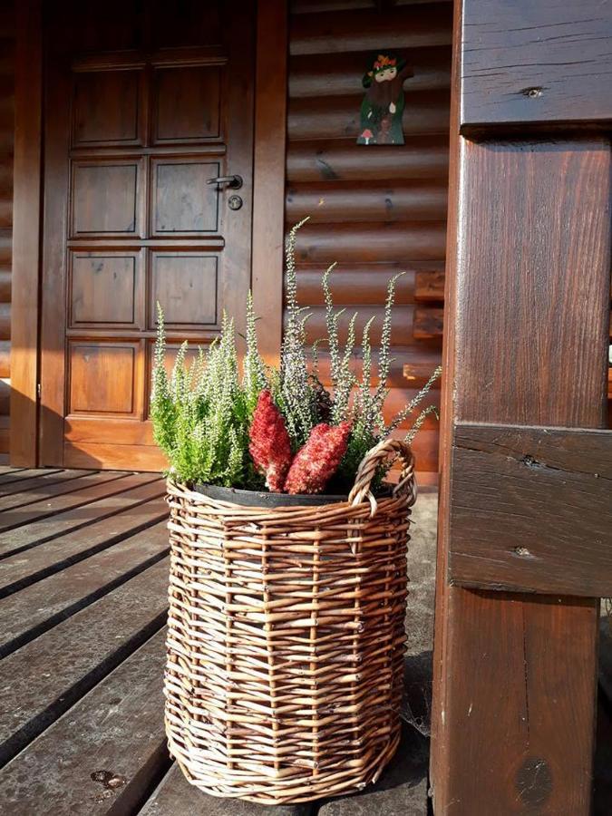 Villa Domek U Karkonosza Kamienna Gora Exterior foto
