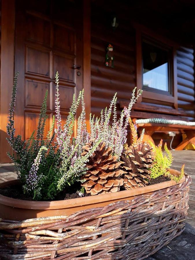 Villa Domek U Karkonosza Kamienna Gora Exterior foto
